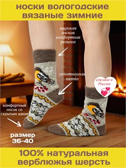 Носки ВОЛОГОДСКИЙ ТЕКСТИЛЬ принт "Синички" 10009